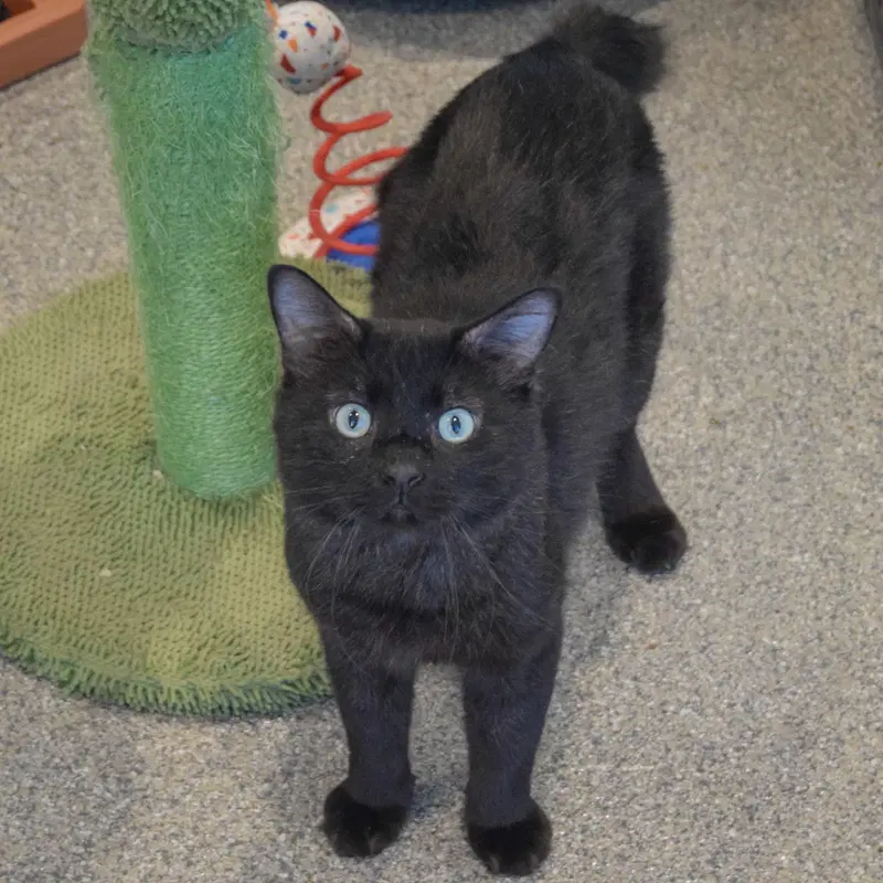 Malachi, photo 3