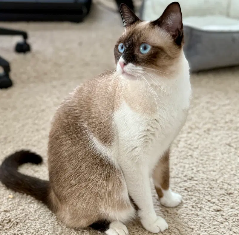 Bonnie, photo 3