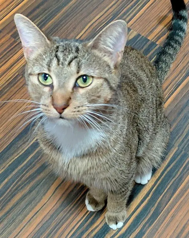 Olive G., photo 2