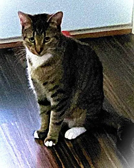 Olive G., photo 3