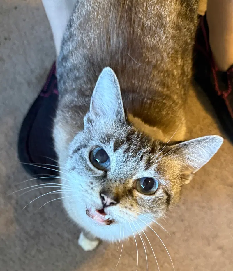 Ella, photo 2
