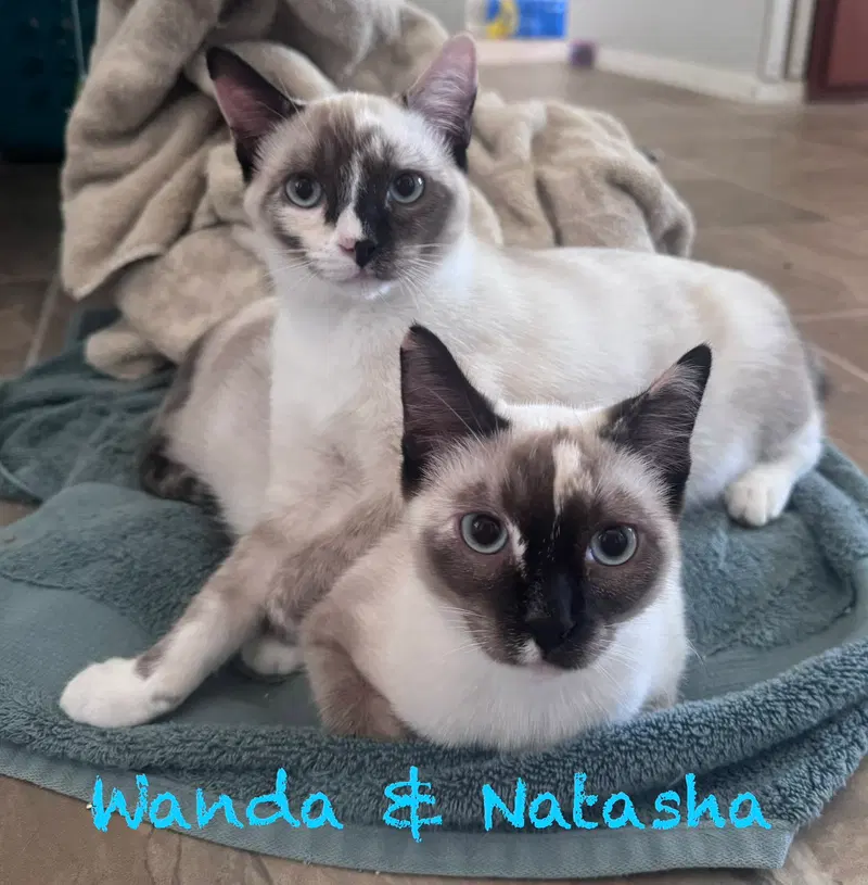 Natahsa, photo 2
