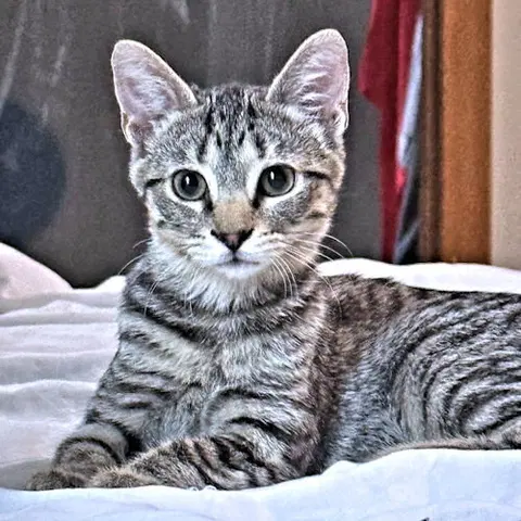 Watch the video of Sadie