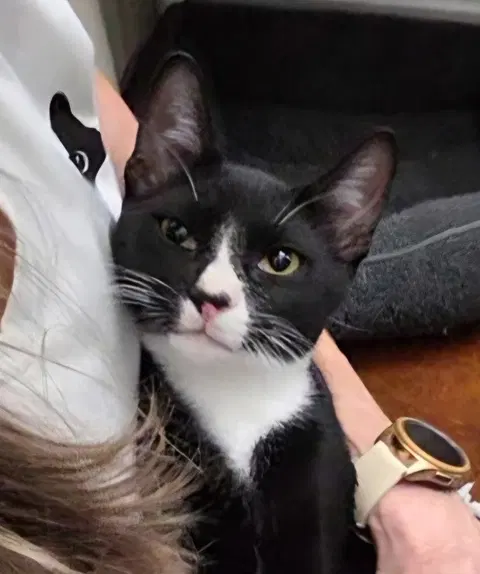 Watch the video of Fabio