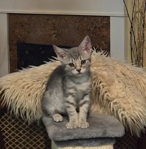 Watch the video of Leah