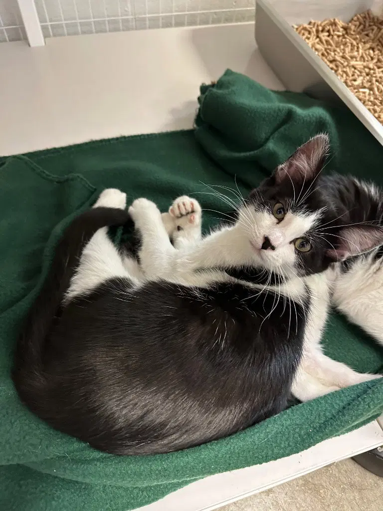 Fiona, photo 3