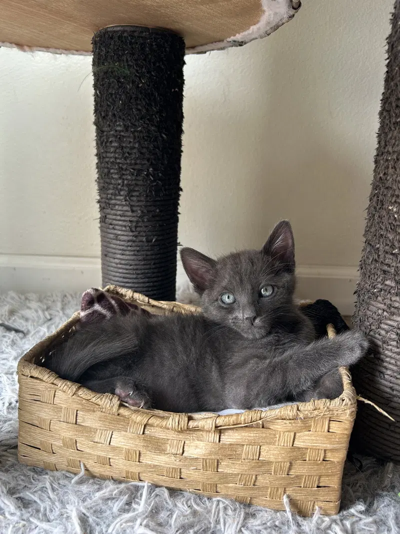 Rocky E, photo 5