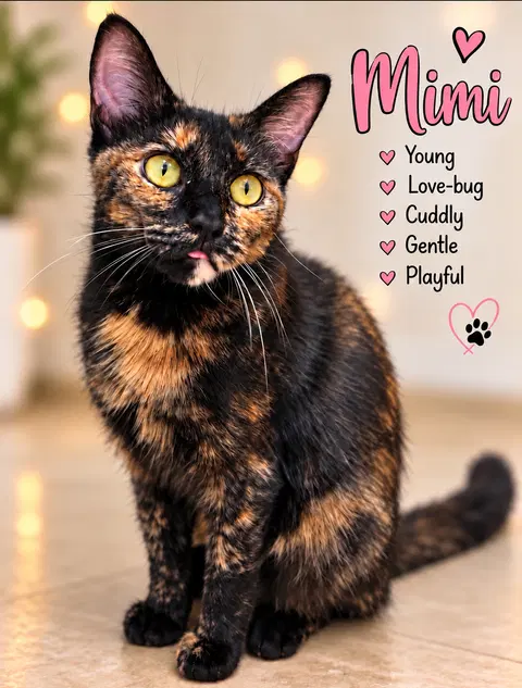Watch the video of Mimi Willow Grove