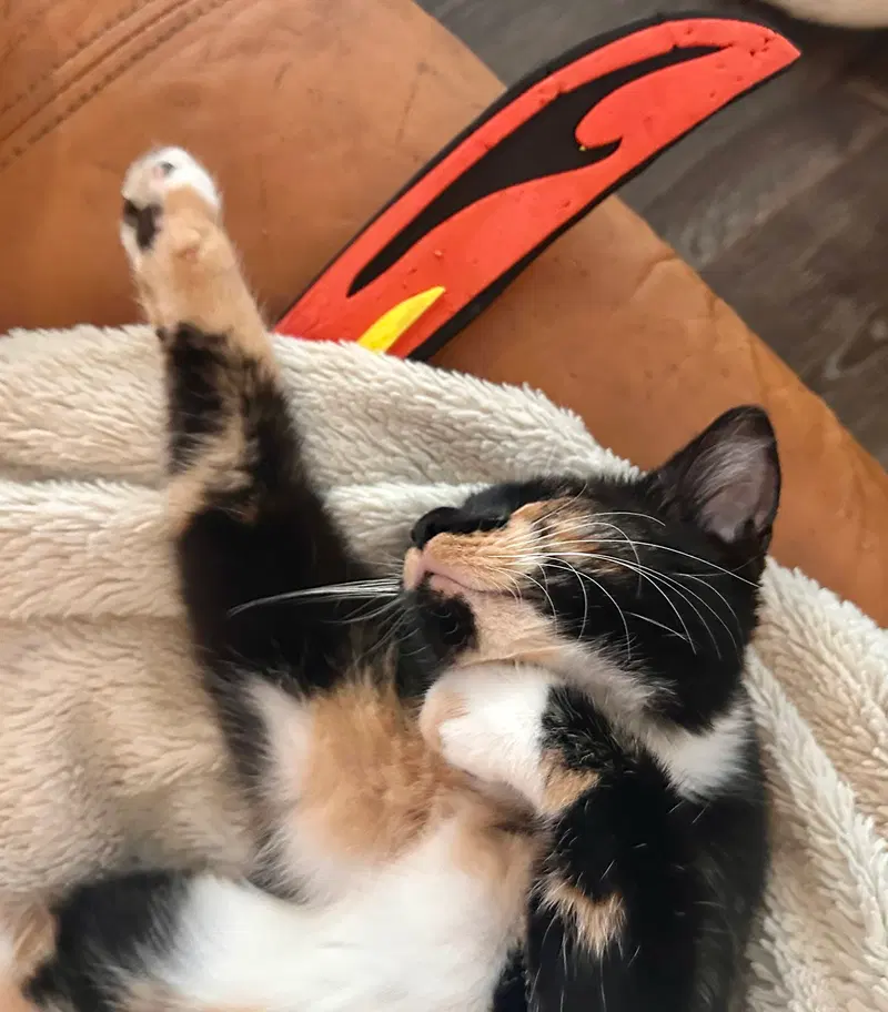 Missy Messi, photo 8