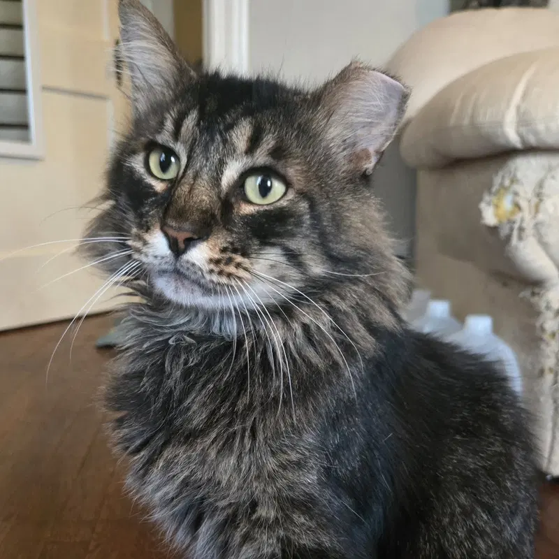 Buddy, photo 6