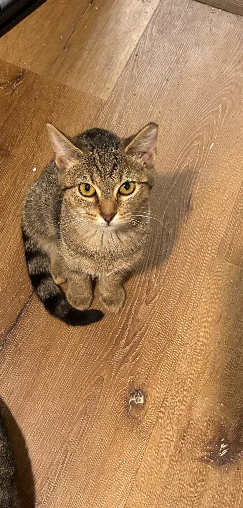 Wendy, photo 9