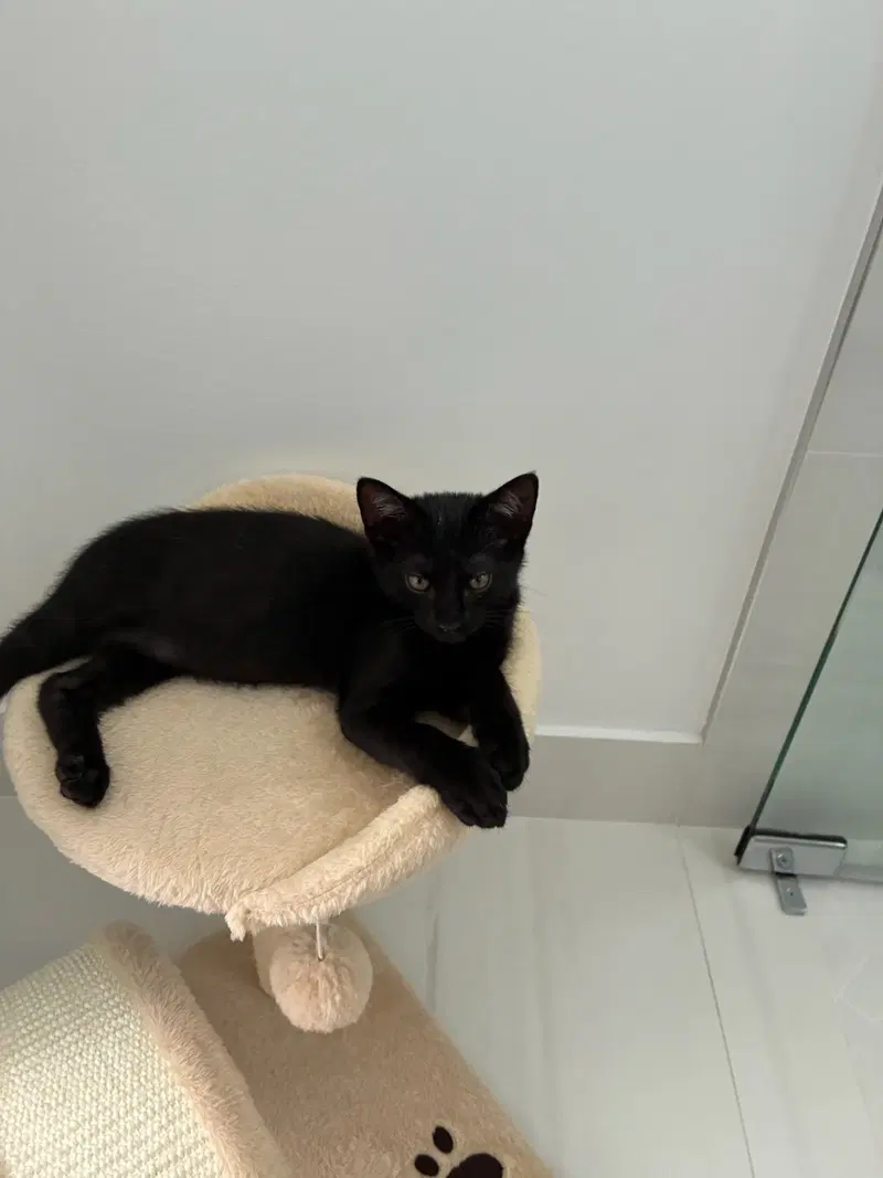 Lenny, photo 4