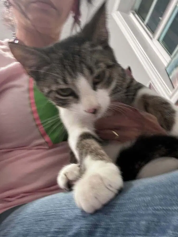 Oscar, photo 2