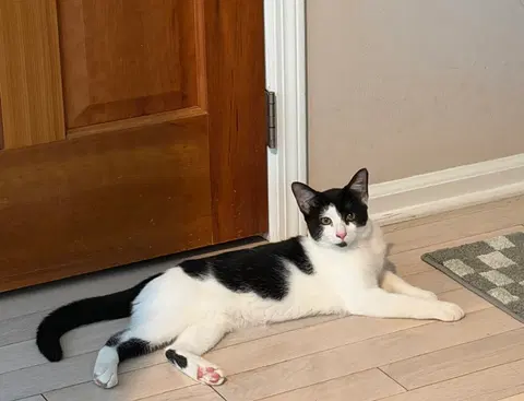 Watch the video of Tala w/Maui