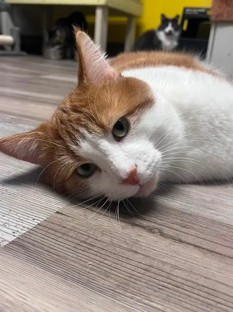 Léo, photo 5