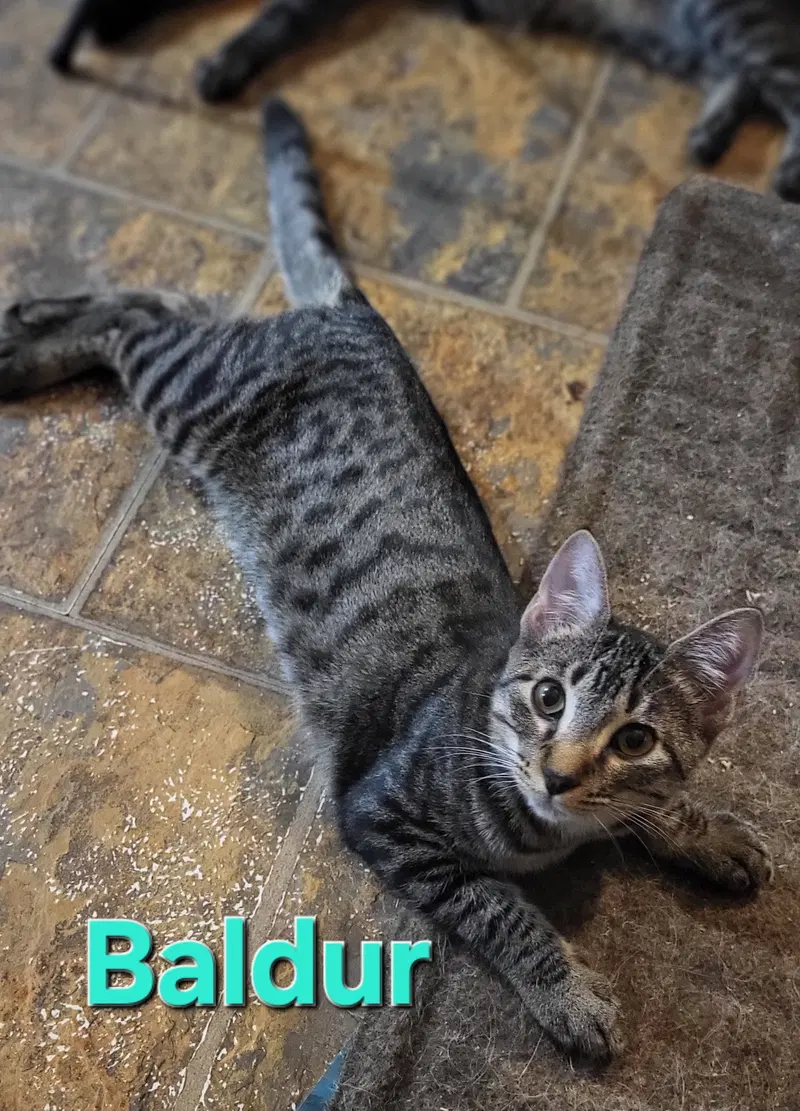 Baldur, photo 2