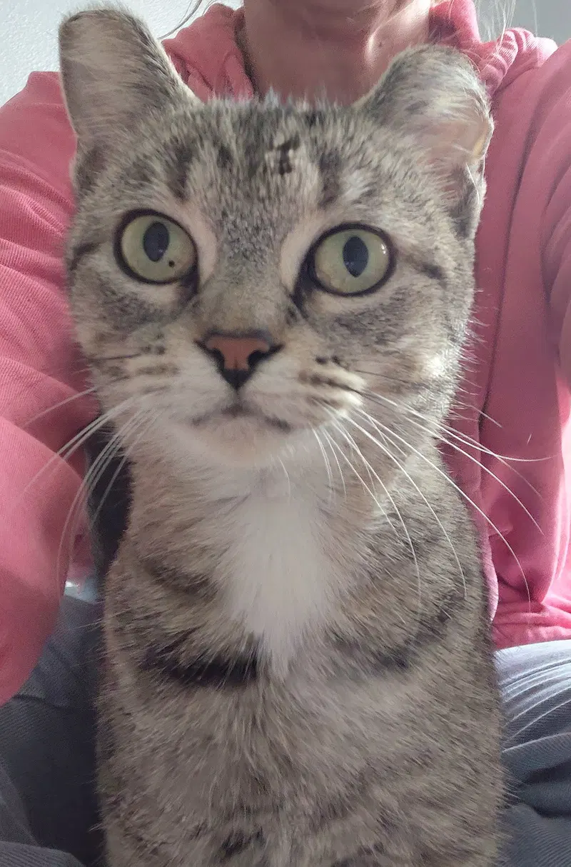 Elsa, photo 3