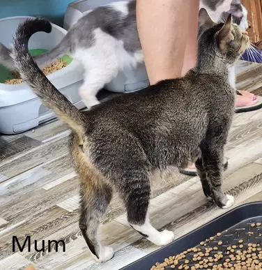 Mum, photo 4