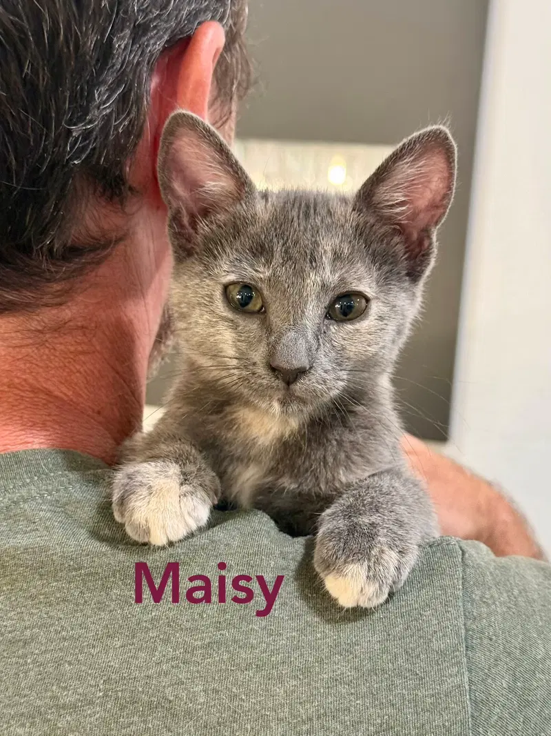 Maise and Molly, photo 2