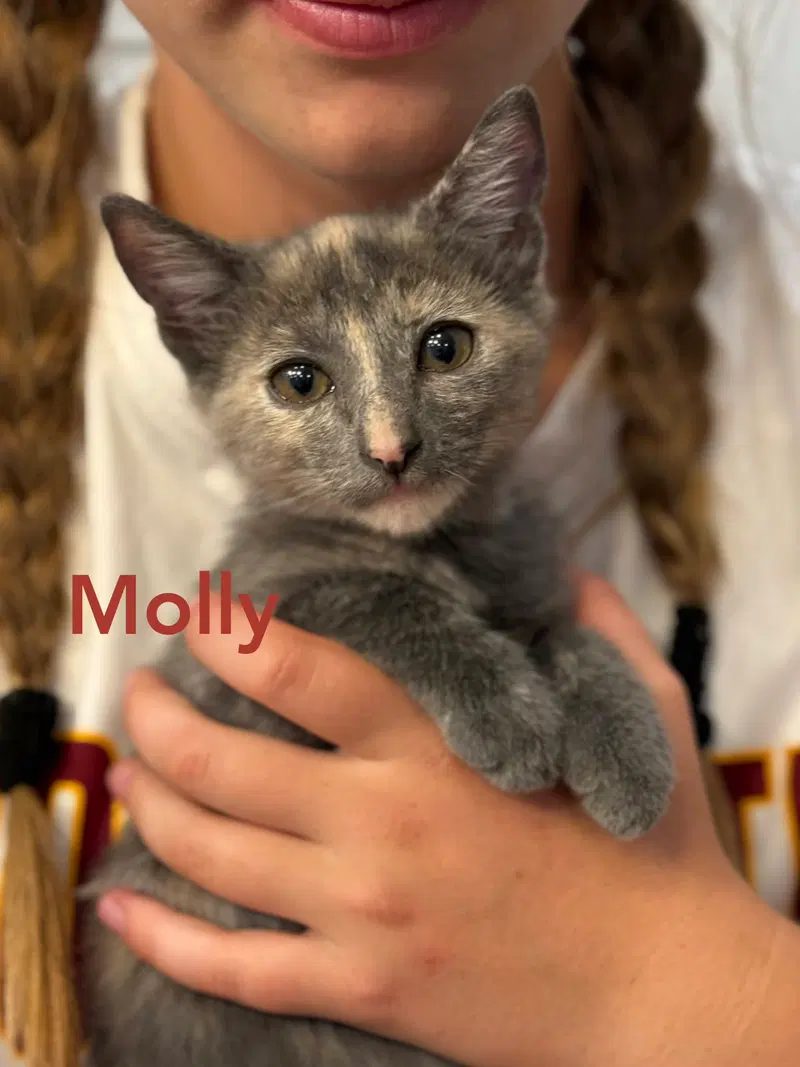 Maise and Molly, photo 3