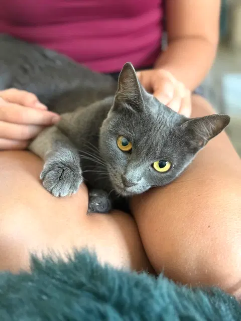 Watch the video of Mabel