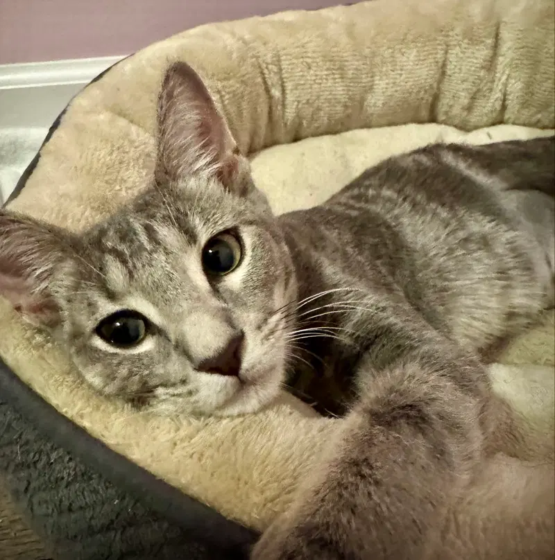 Gabby, photo 5