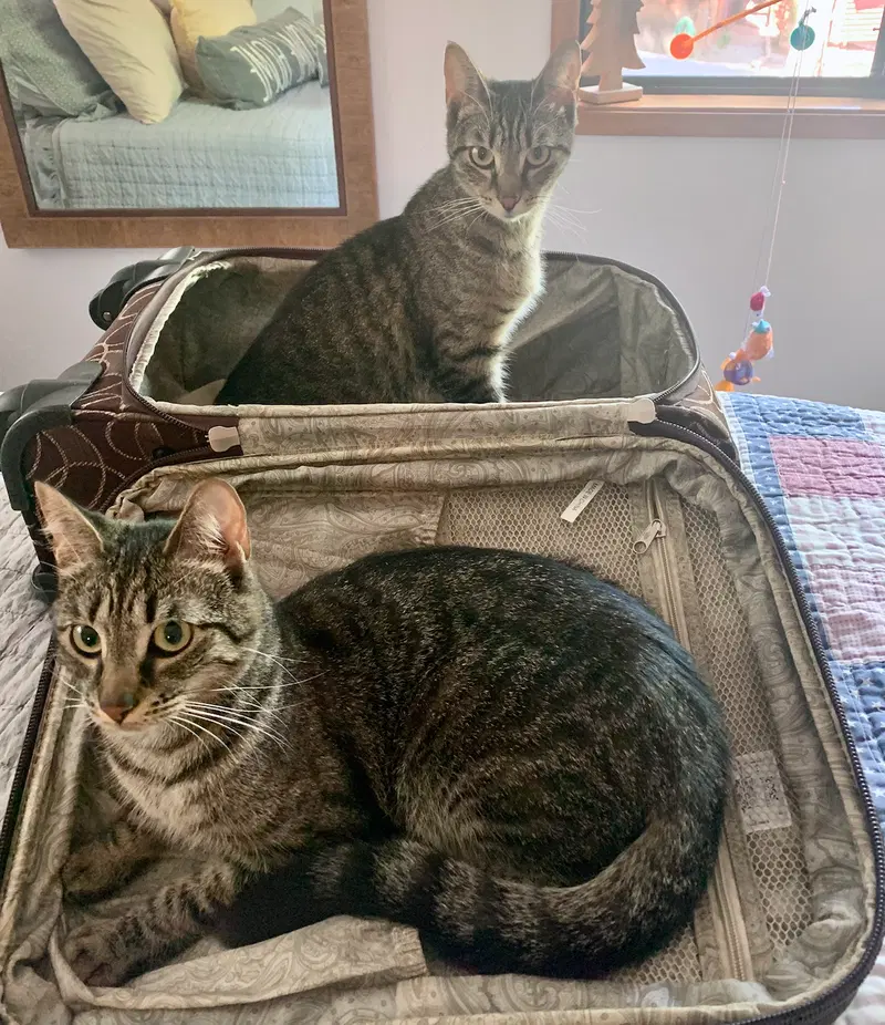 Sissy & Sassy, photo 2