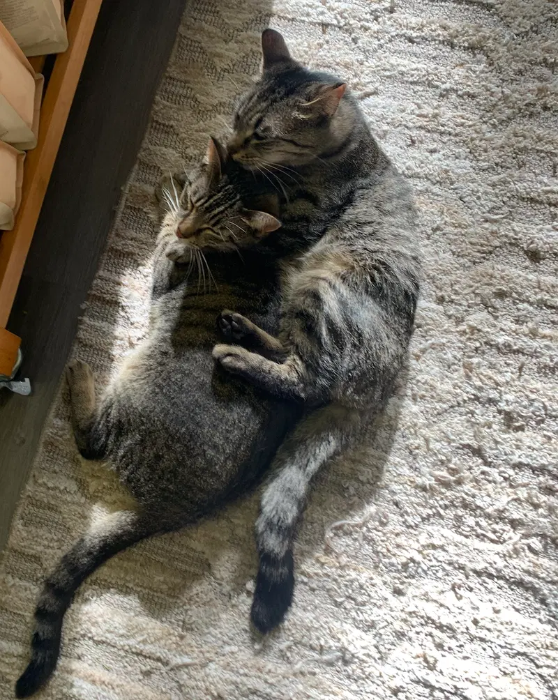 Sissy & Sassy, photo 4