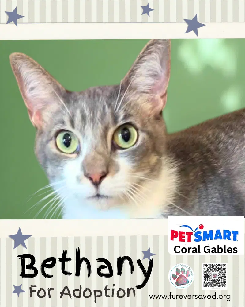 Bethany, photo 2
