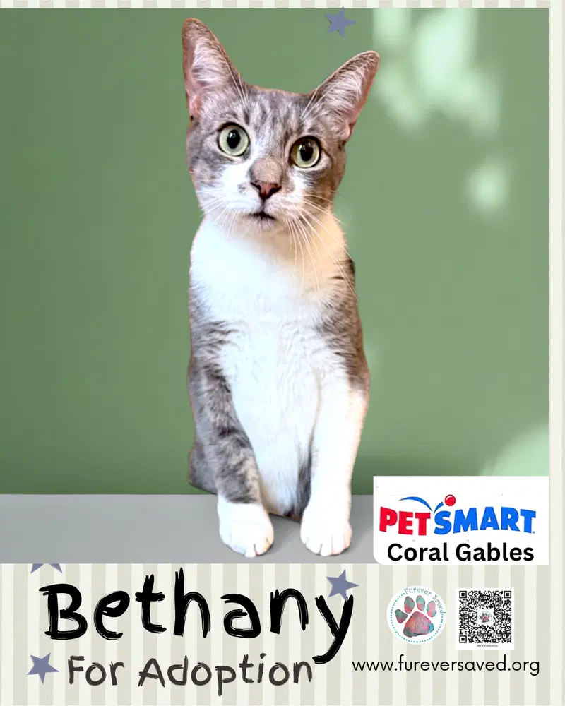 Bethany, photo 3
