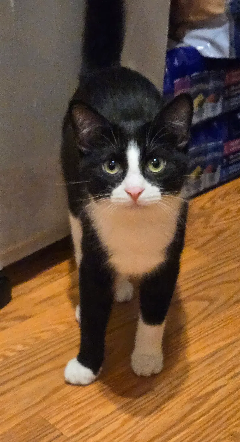 Viktor, photo 5