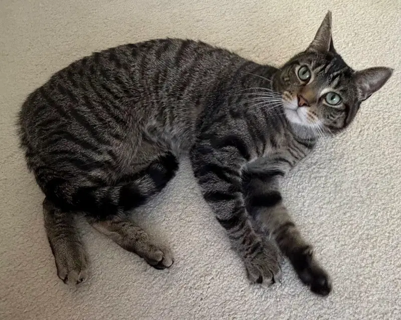 Hudson, photo 4