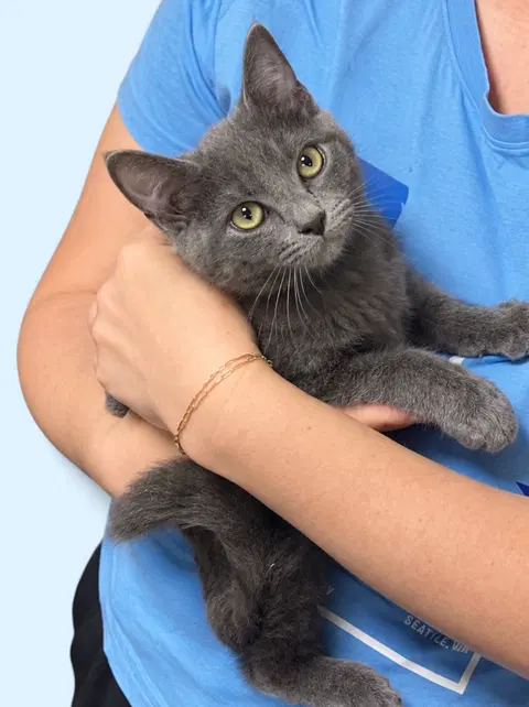 Watch the video of Fletcher