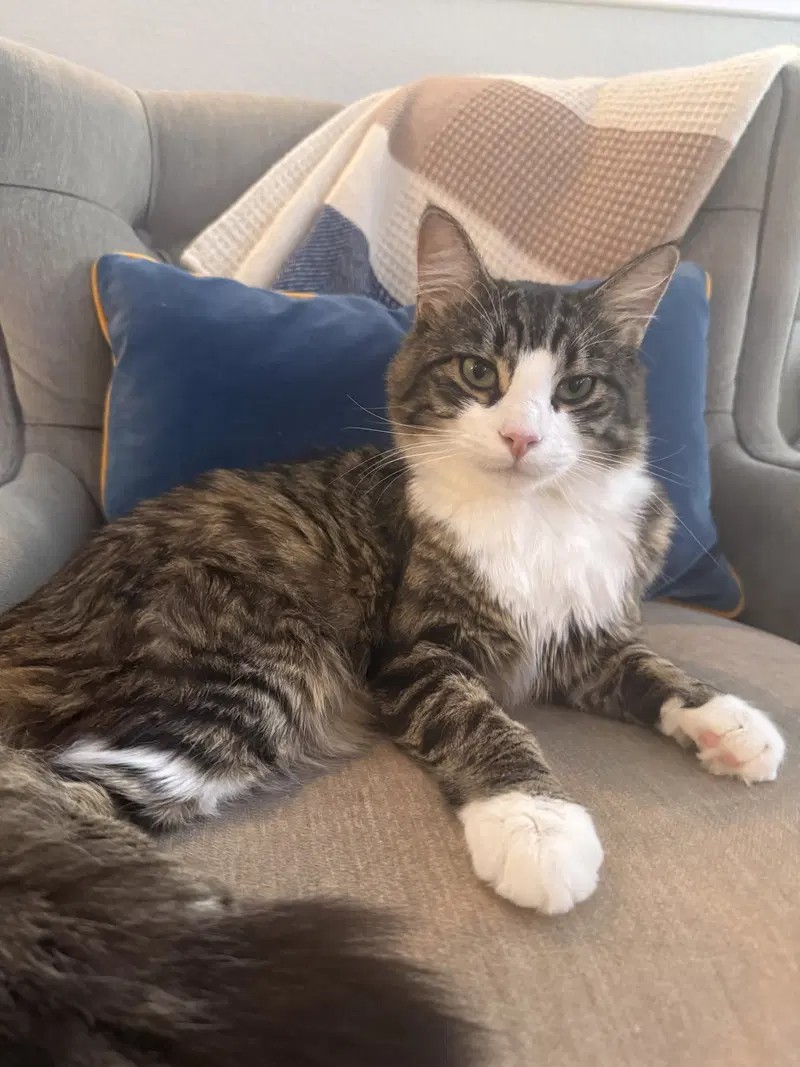 Captain Shane Howlander & Hudson Growliams, photo 4