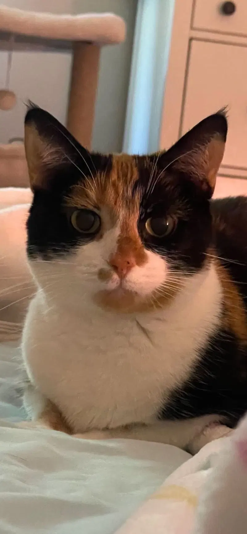 Kat, photo 5