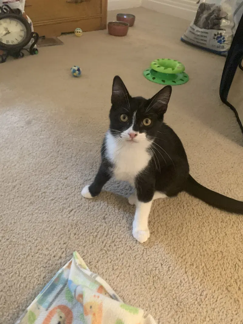 Carlos, photo 3