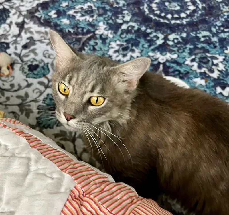 Oscar, photo 2