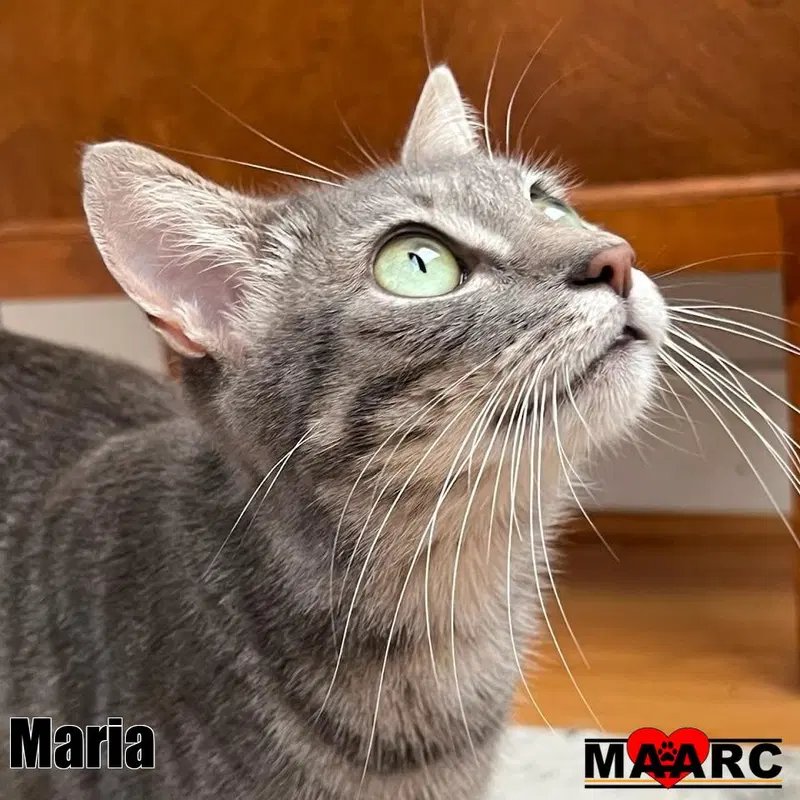 Maria, photo 3
