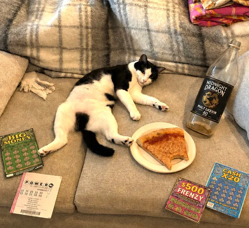 Domino, photo 3