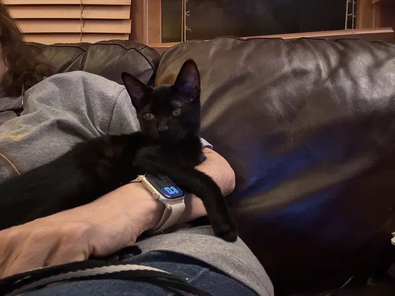 Gus, photo 3