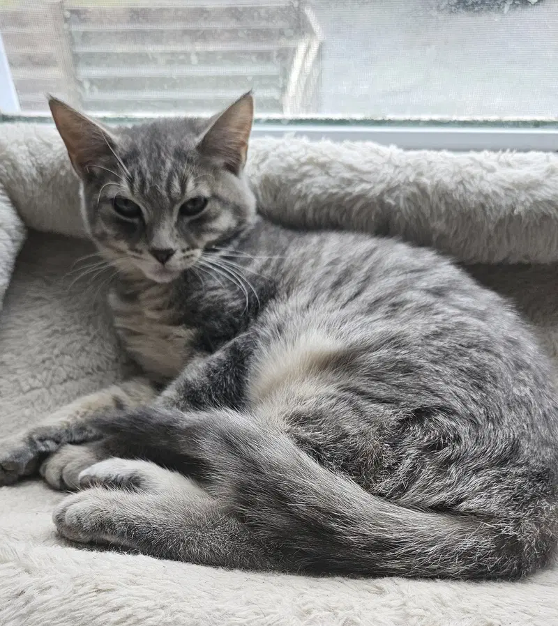 Luigi, photo 2
