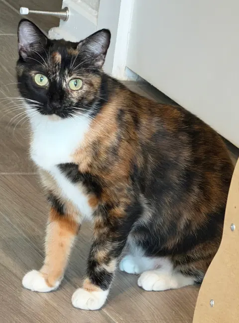 Watch the video of Wilma
