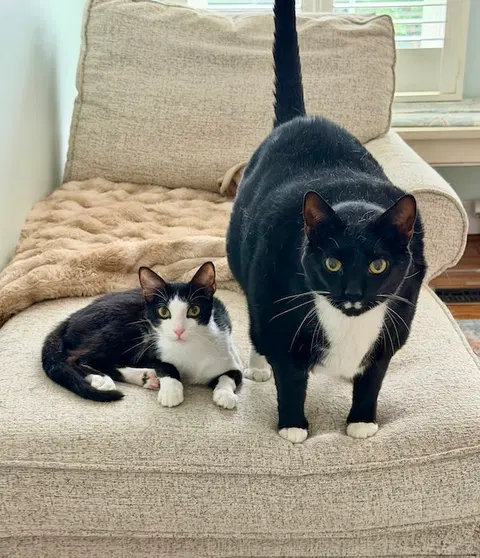 Watch the video of Artemis + Fitz