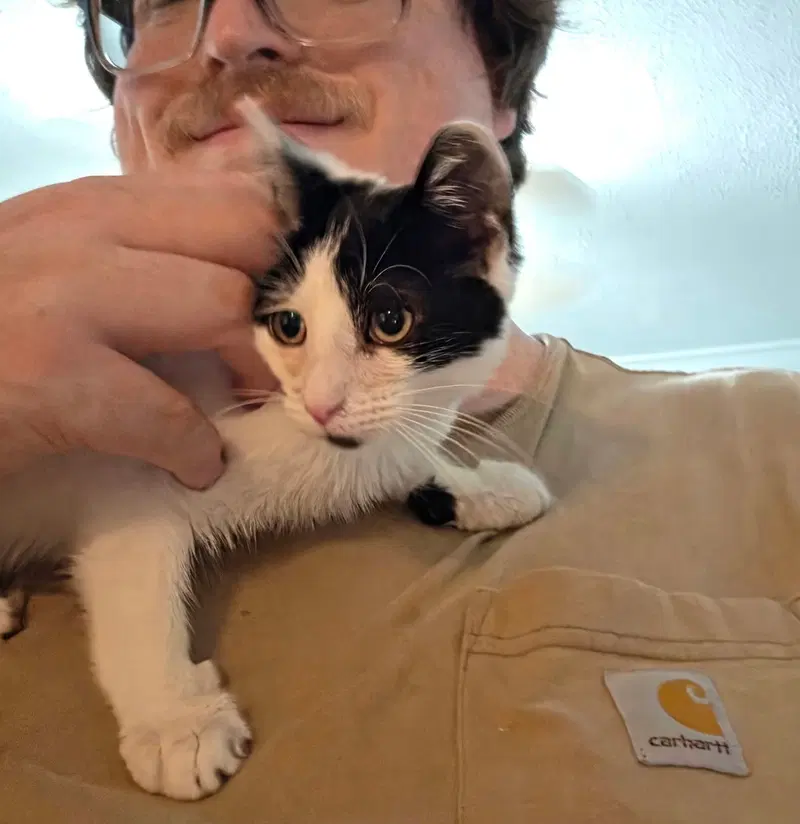 Gooberella bonded with Barnaby, a young female cat up for adoption