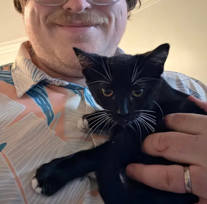 Fig bonded with Pouperie, a young female cat up for adoption