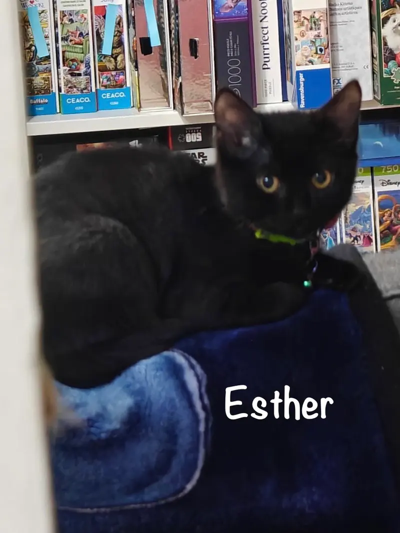 Esther, photo 2