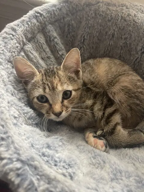 Watch the video of Zoe