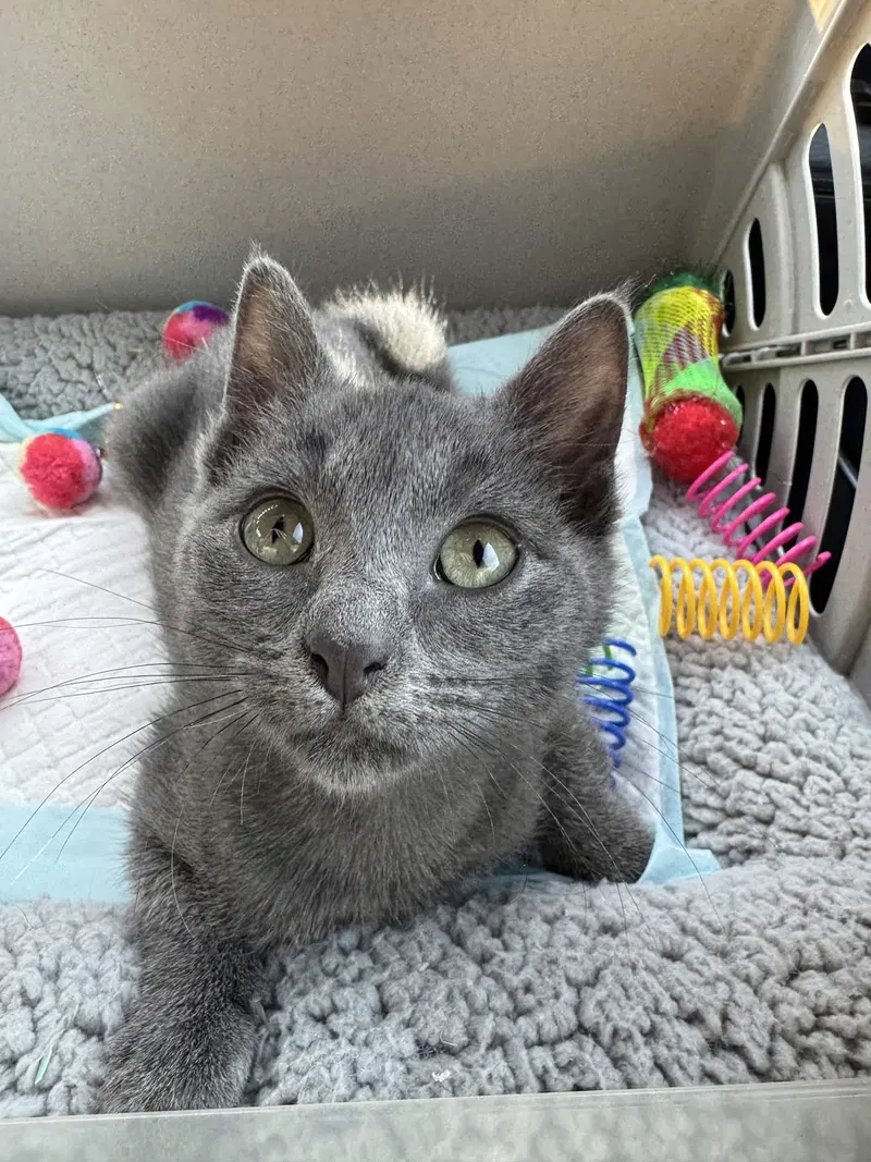 Mimi, photo 5