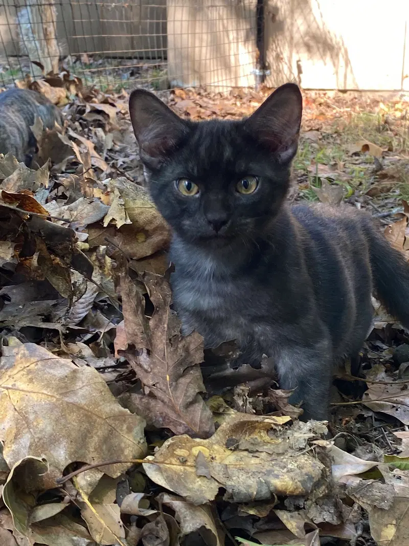 Seymour, photo 2