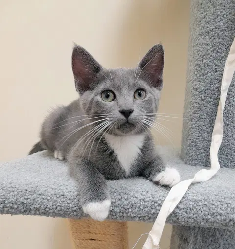 Watch the video of Princess